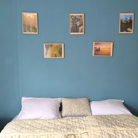 Cozy Nature Stay, Free Bottle Of Good Wine, Great View, Free Parking 公寓 班斯科